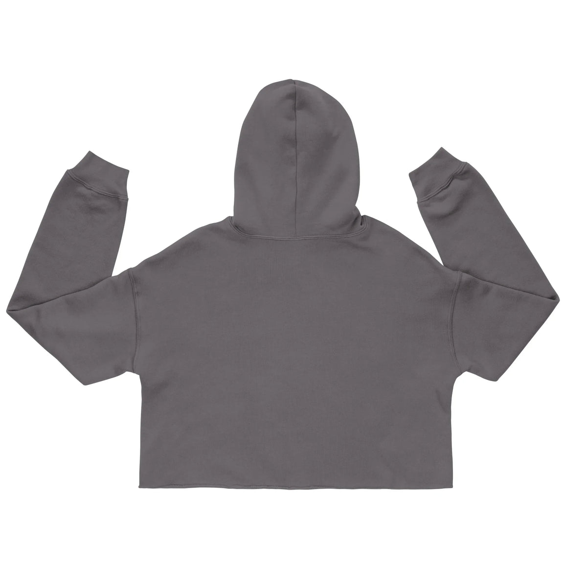 Rückansicht des grauen CREWILD Crop-Hoodies für Damen